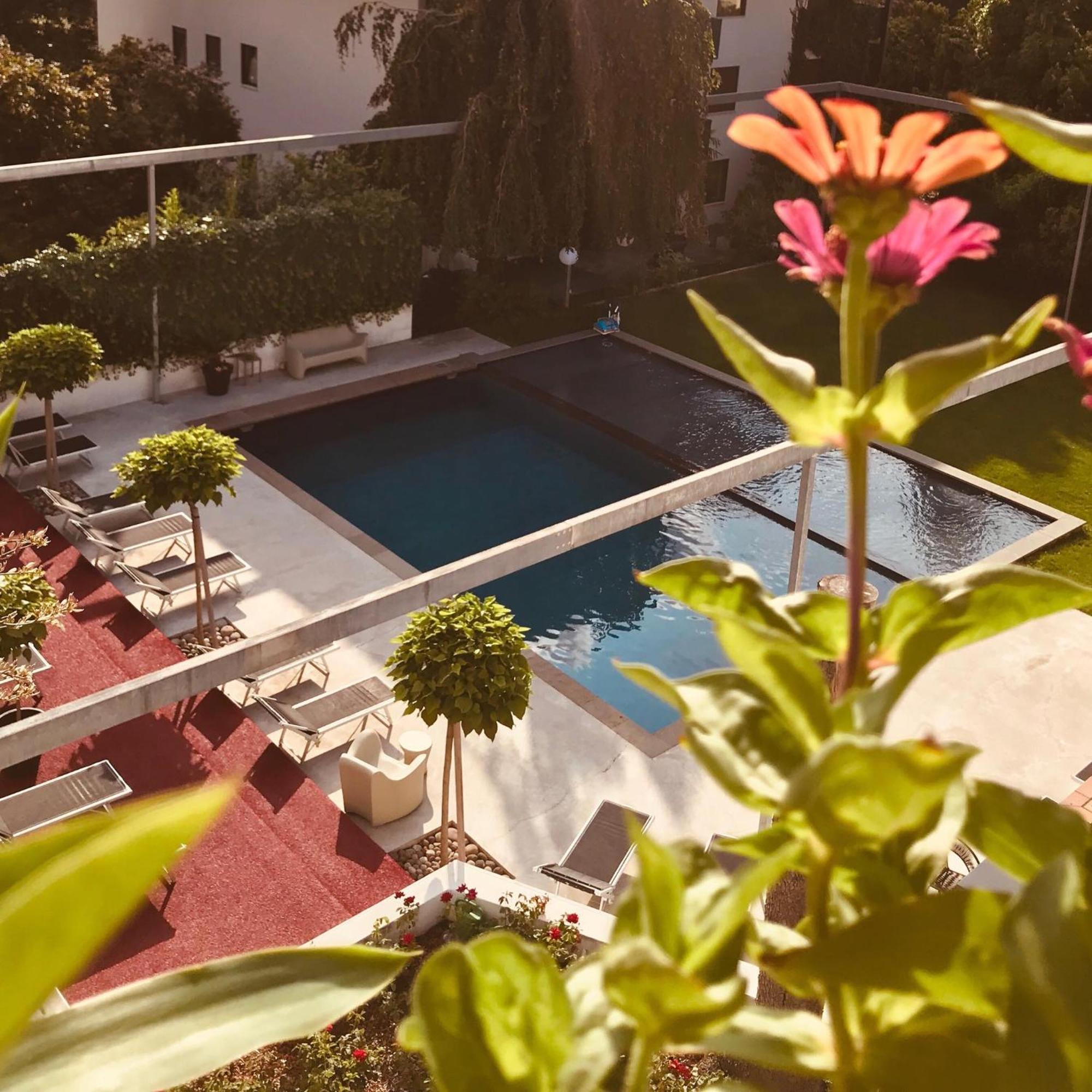 Goldfinger + Suites Lana Bagian luar foto